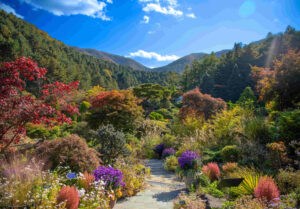 가평 - 아침고요수목원