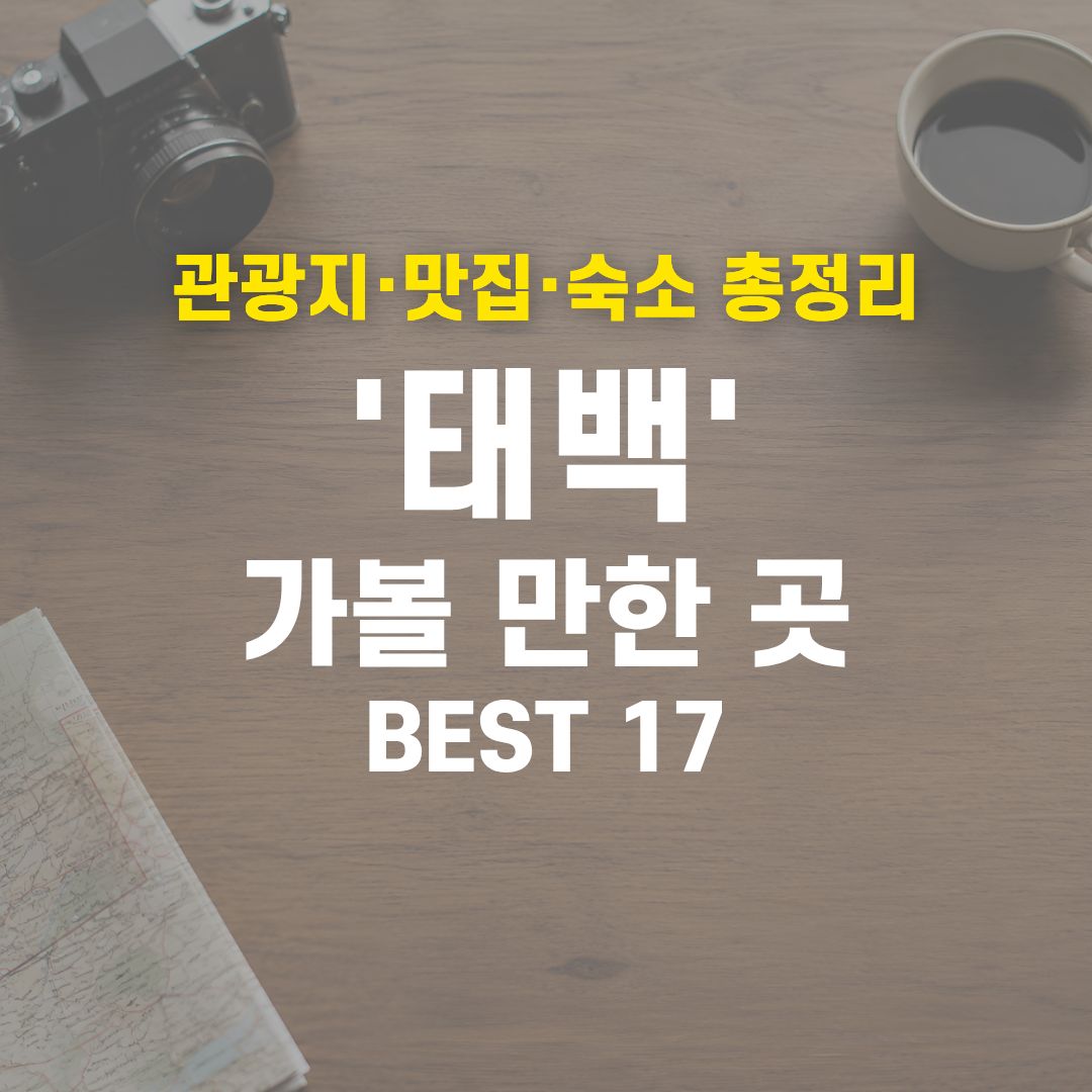 2026 태백 여행 코스 종결! 실패 없는 관광지·맛집·호텔 17곳 총정리 1 태백 가볼 만한 곳 BEST 17