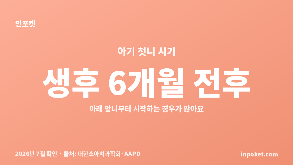 생후 4~30개월 유치 나는 순서와 첫니 시기를 정리한 월령별 치아표