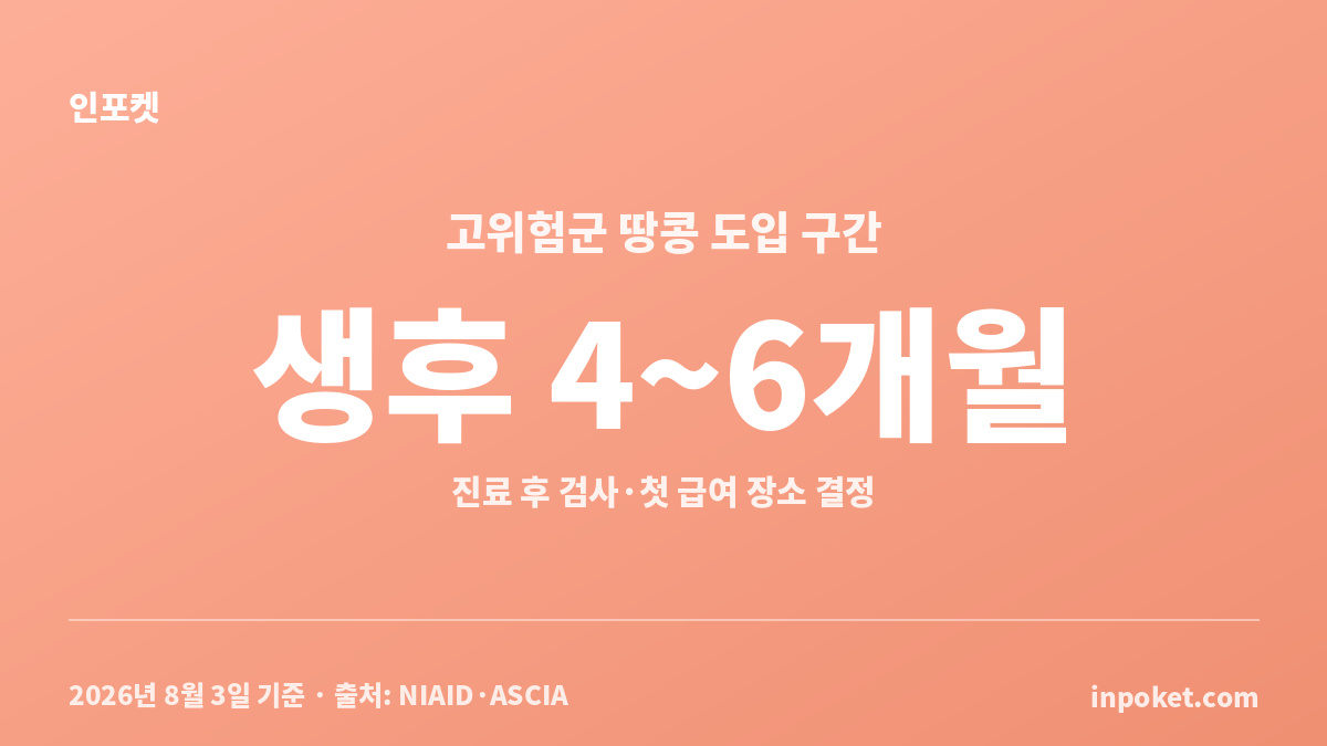 아기 땅콩 시작 시기와 알레르기 위험도별 첫 도입 기준 카드