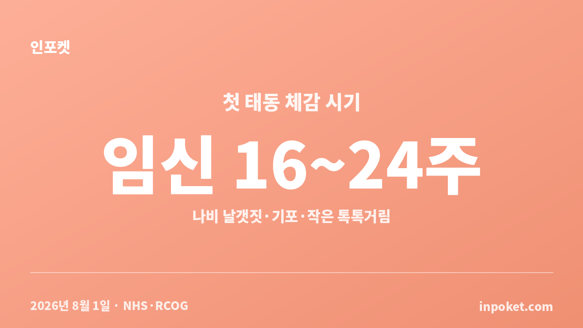 태동 느껴지는 시기와 첫 느낌을 정리한 임신 16~24주 가이드
