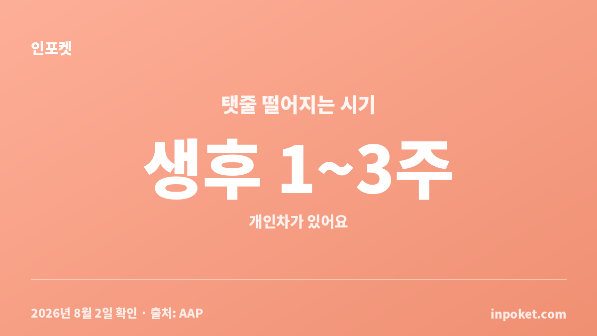 신생아 배꼽 소독 방법과 탯줄 떨어지는 시기를 정리한 안내 카드